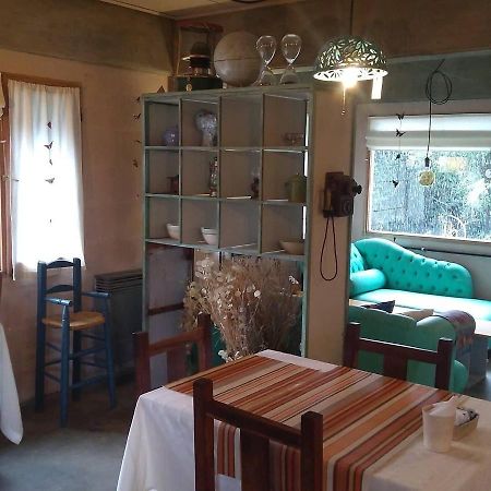 De Luz Y De Fuego Bed and Breakfast Villa La Angostura Zewnętrze zdjęcie